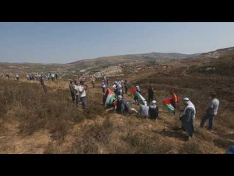Dozens protest in West Bank against Israeli settlements