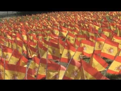 Park in Madrid commemorates Covid victims with 53,000 flags