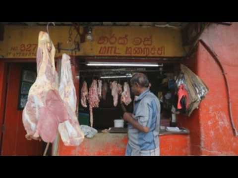 Sri Lankan Cabinet approves proposal to ban cattle slaughter