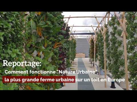 Reportage: Comment fonctionne "Nature Urbaine", la plus grande ferme urbaine sur un toit d'Europe.