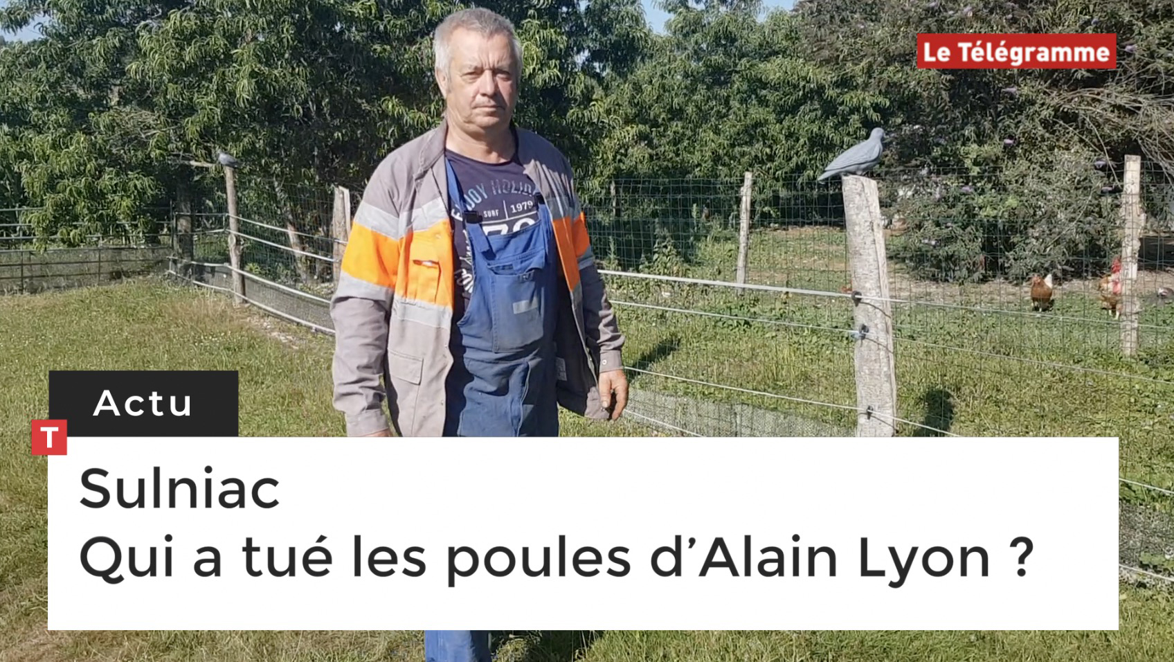 Sulniac (56). Qui a tué les poules d’Alain Lyon ?  (Le Télégramme)