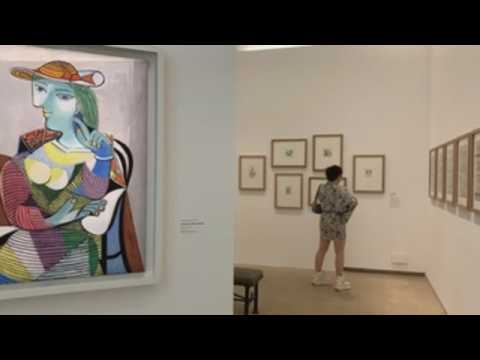 Picasso's passion for comic on display in Paris
