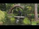 San Francisco's Japanese Tea Garden reopens with restrictions in place