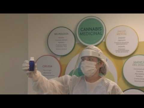 Colombian clinic uses cannabis as pain relief medication