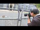 International Cat Day: the art of photographing Larry, the beloved Downing Street cat