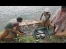 Indian fishermen take advantage of increasing water area for fish farming