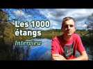 Interview - Label : L'Est Républicain - Category : News