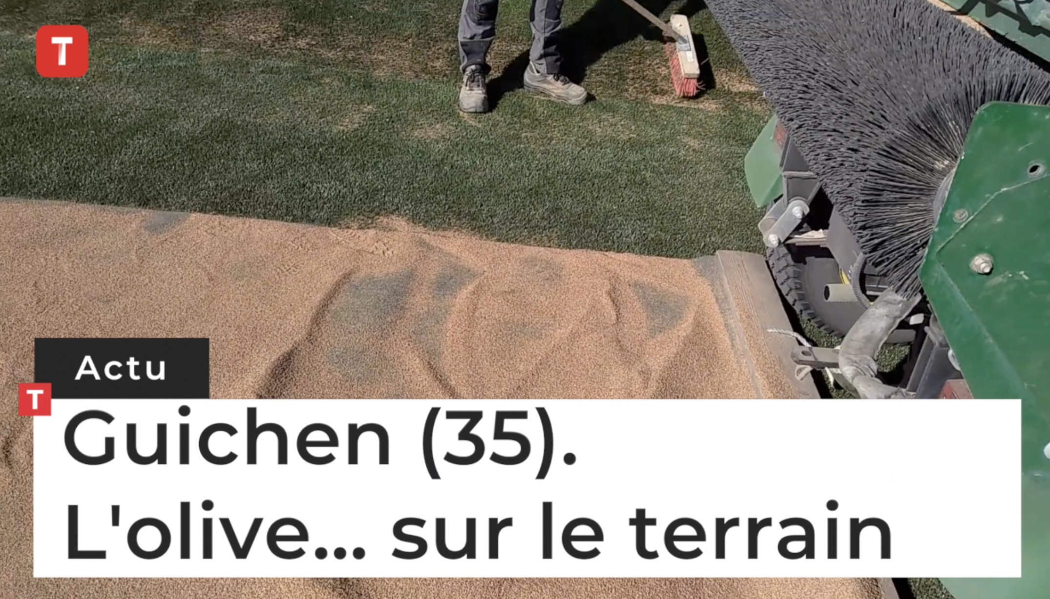 Guichen (35).  L'olive... sur le terrain (Le Télégramme)