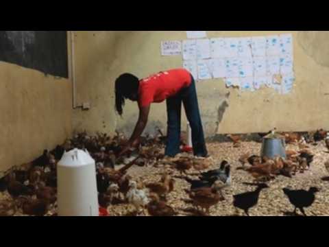 Kenyan school turned into farm due to Covid-19 crisis