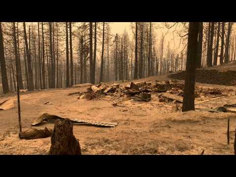 California forest after wildfires tear through Fresno county