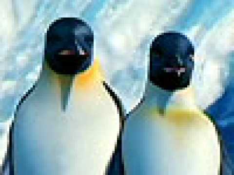 Happy Feet - Extrait 14 - VO - (2006)