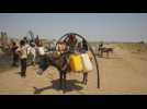 Yemenis turn to donkeys to transport water