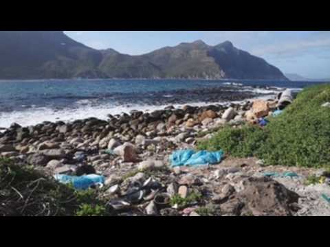 World Clean-Up Day in Cape Town