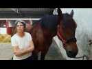 Rencontre avec Fanny Chattel, partie sur les routes de France en attelage avec Texas son bel ardennais