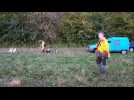 Début de la traque avec l'ACCA de Villotte-devant-Louppy le jour de l'ouverture générale de la chasse en Meuse