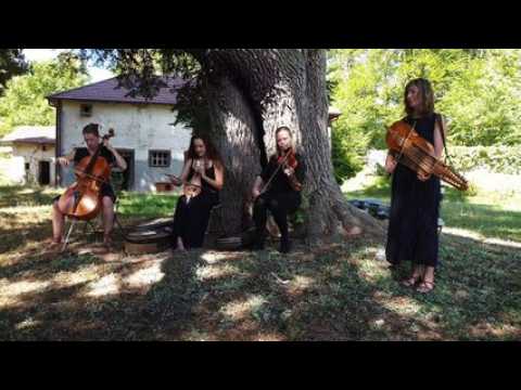 Le Tokso folk string quartet anime le road trip de Mirecourt