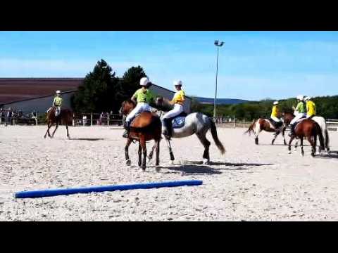 Pont-à-Mousson : démonstration de horse-ball au centre équestre Bel Air