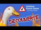 Vido DECOUVERTE - Untitled GOOSE Game