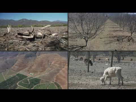 Severe drought hits central Chile hard