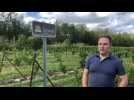 Vigneron Kobloth Québec