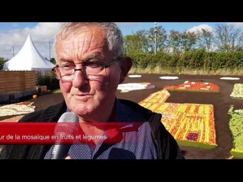 Mulhouse : Les monuments emblématiques d’Alsace s’affichent à Folie’flore