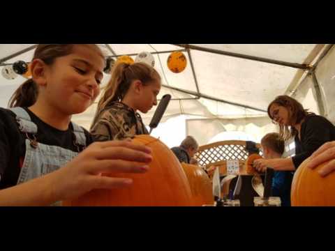 Atelier "Citrouilles d'Halloween" à la cueillette Paradis Vogel de Burnhaupt-le-Haut