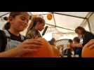 Atelier "Citrouilles d'Halloween" &agrave; la cueillette Paradis Vogel de Burnhaupt-le-Haut - Label : Les Dernières Nouvelles d'Alsace - Category : News