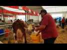 Habsheim : la foire Simon et Jude
