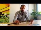 Olivier Bonhomme, directeur industriel de Diager, présente le processus de fabrication d’un foret marteau-performateur