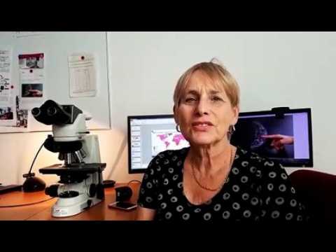Première nationale : un soutien-gorge intelligent en développement
