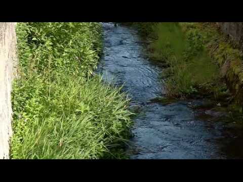 Trophée « Cadre et qualité de vie » : Soultzmatt-Wintzfelden