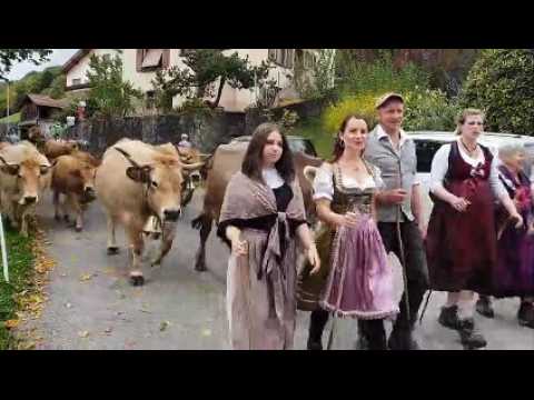 Transhumance de Muhlbach