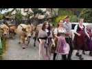 Transhumance de Muhlbach