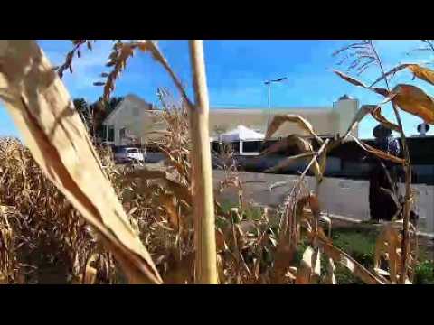 Inauguration de la mosquée Mahdi à Hurtigheim