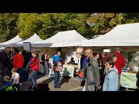 Fête du fruit à Chenicourt