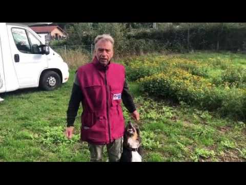 Concours régional d'obéissance : la récompense, élément essentiel du dressage pour Patrice Sicre
