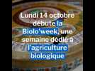 Comté bio: l'exemple de la fruitière de Saint-Maurice-Crillat