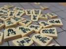 Les règles du shogi en moins de deux minutes par Fabien Osmont