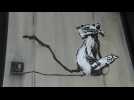 A copy of Banksy's stolen rat produced for Paris street art exhibition