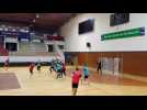 Grand Nancy Métropole Handball : opération « Kung-fu »