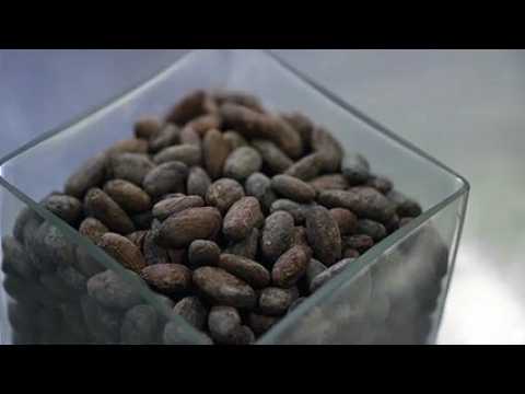Schaal : chocolatier d’excellence depuis 1871