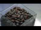 Schaal : chocolatier d’excellence depuis 1871