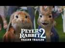 Peter Rabbit 2 - Teaser Trailer - At Cinemas March 2020
