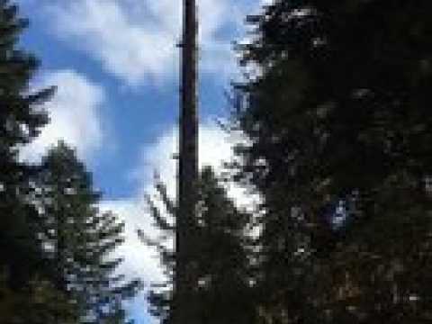 Le Roi Soleil, malade, rend l’âme