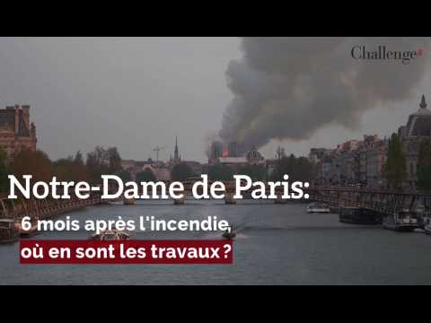 Notre-Dame : Où en sont les travaux?