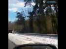 Il y a un an, la neige paralysait la Loire et la Haute-Loire