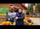 Fey : le parc Pokeyland se pr&eacute;pare pour Halloween - Label : Le Républicain Lorrain - Category : News