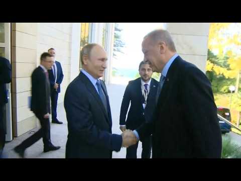 Putin, Erdogan start talks on Syria in Russia