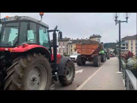 La manifestation des agriculteurs se poursuit dans les rues d'Epinal