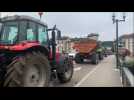 La manifestation des agriculteurs se poursuit dans les rues d'Epinal